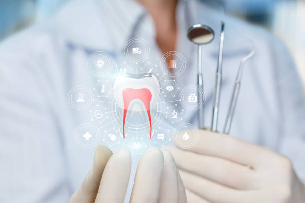 Reliable Columbus, MN Holistic Dental Care Services Solutions